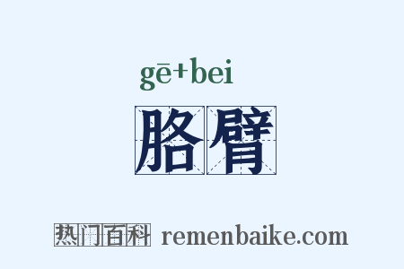 胳臂是什么意思的图片